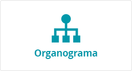 00_bannernovo_organograma